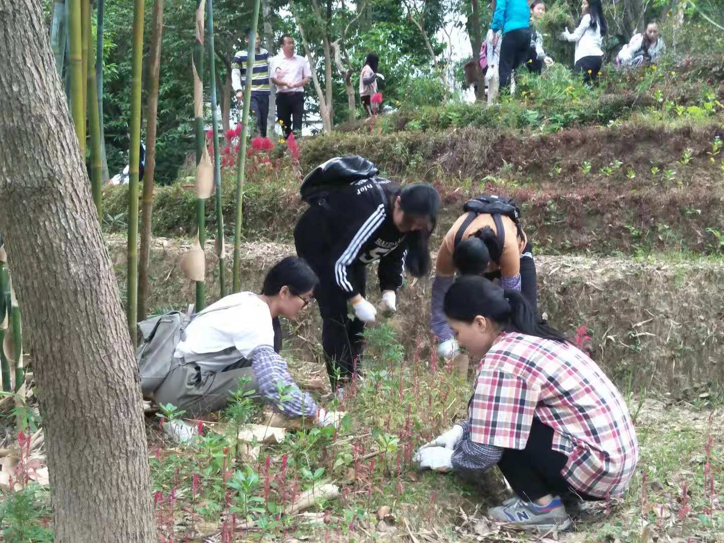 437必赢会员中心