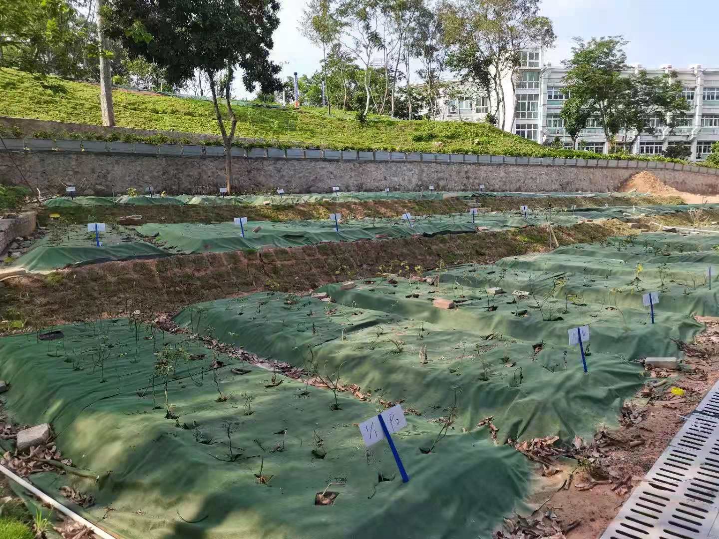 437必赢会员中心